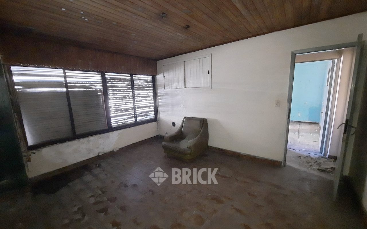 HUMBERTO 1° al 3000 19