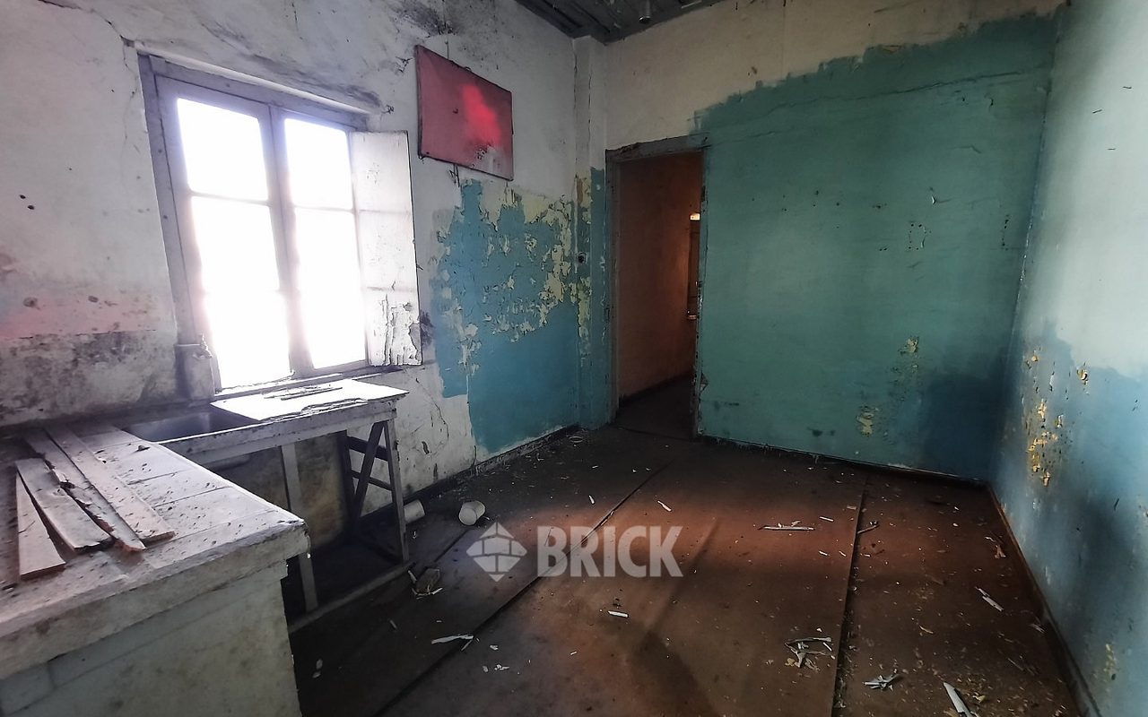 HUMBERTO 1° al 3000 22