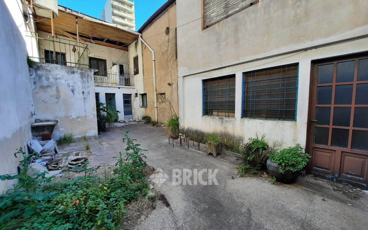 HUMBERTO 1° al 3000 26