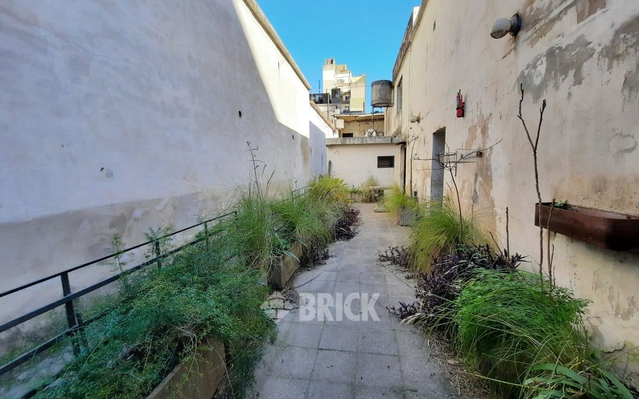 HUMBERTO 1° al 3000 3