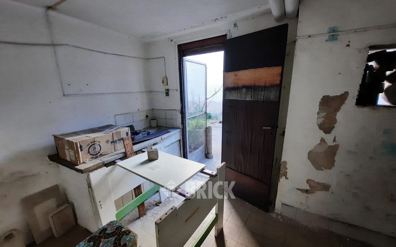 HUMBERTO 1° al 3000 31