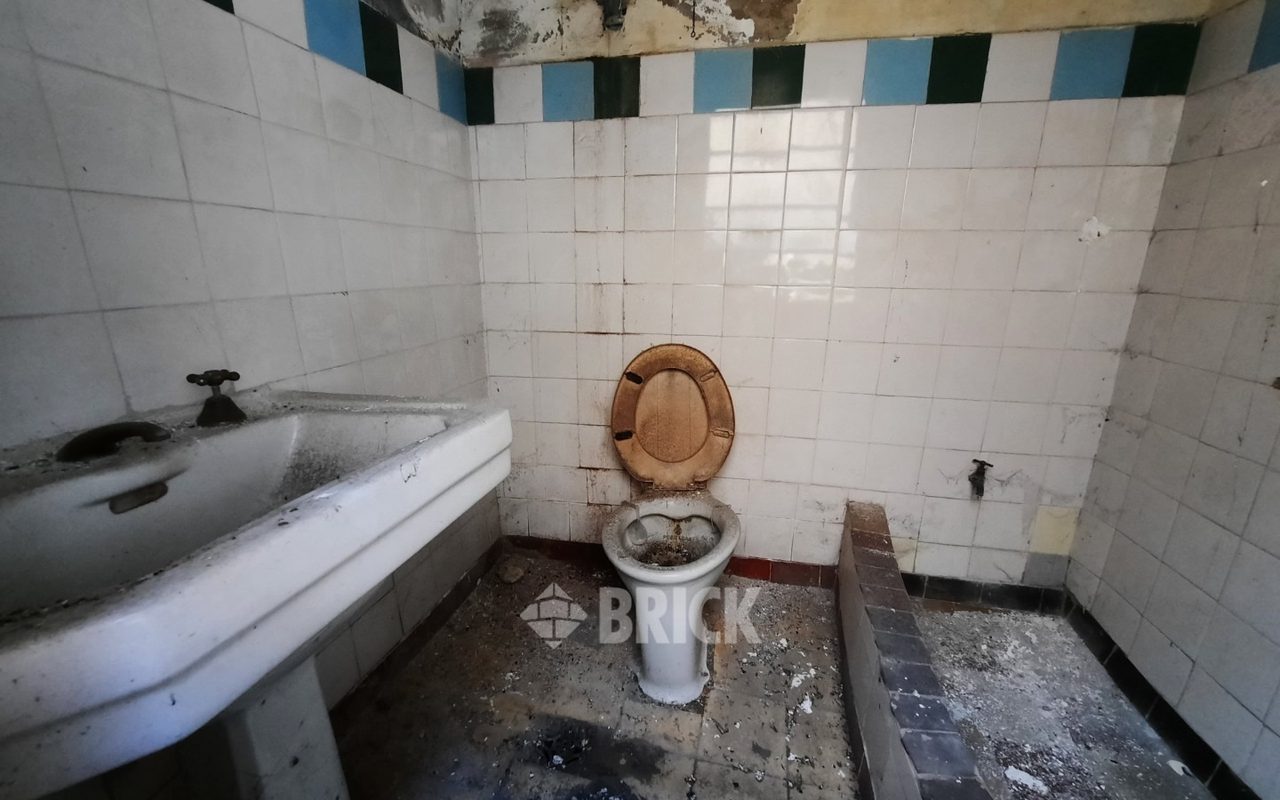 HUMBERTO 1° al 3000 34