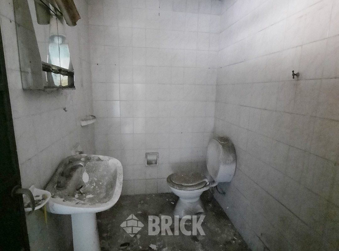 HUMBERTO 1° al 3000 38