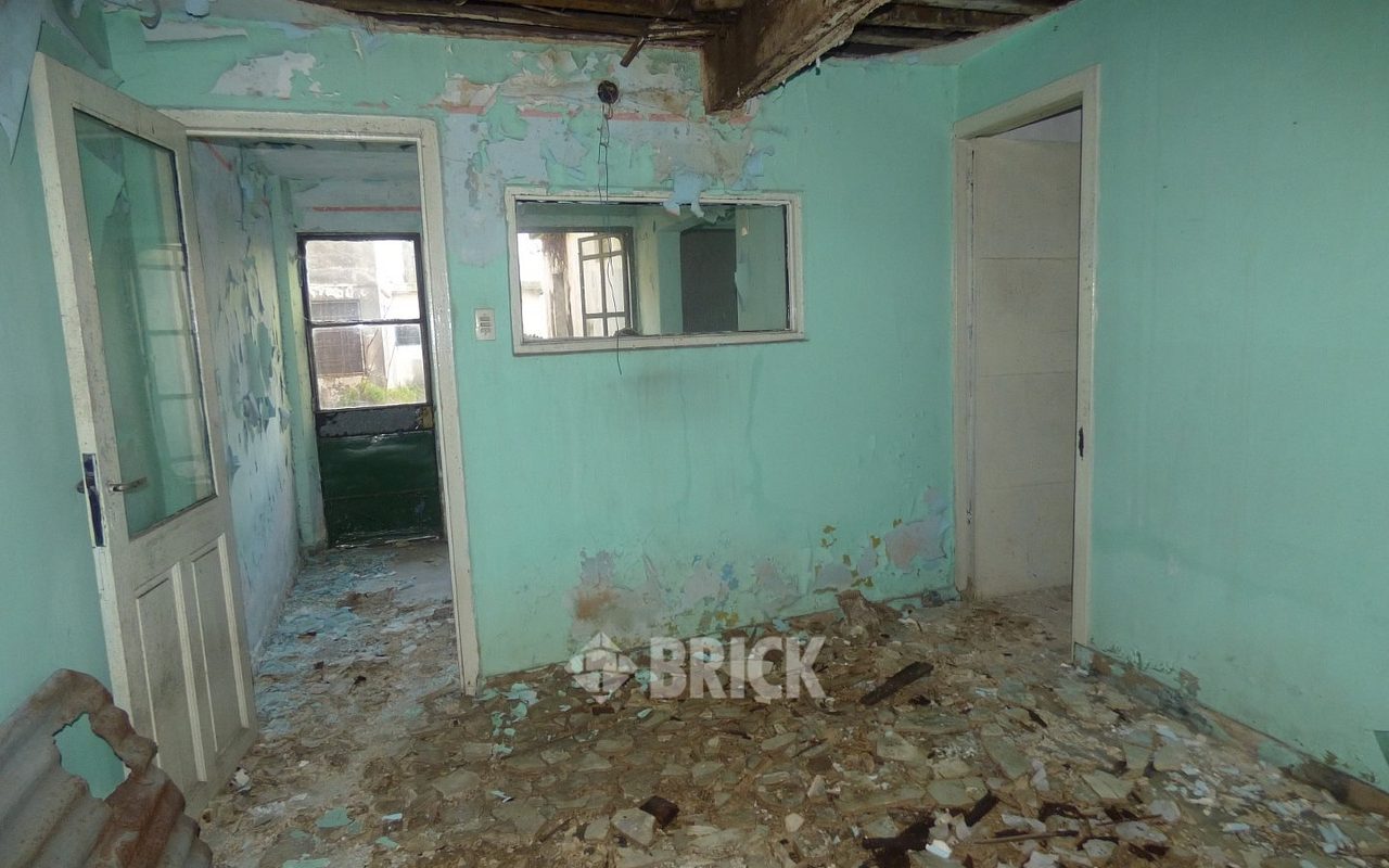 HUMBERTO 1° al 3000 39