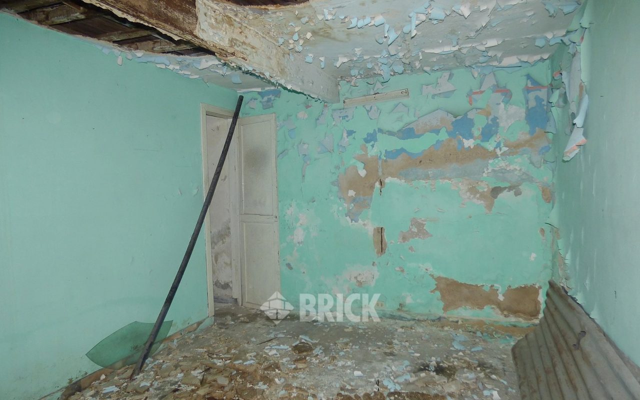 HUMBERTO 1° al 3000 40