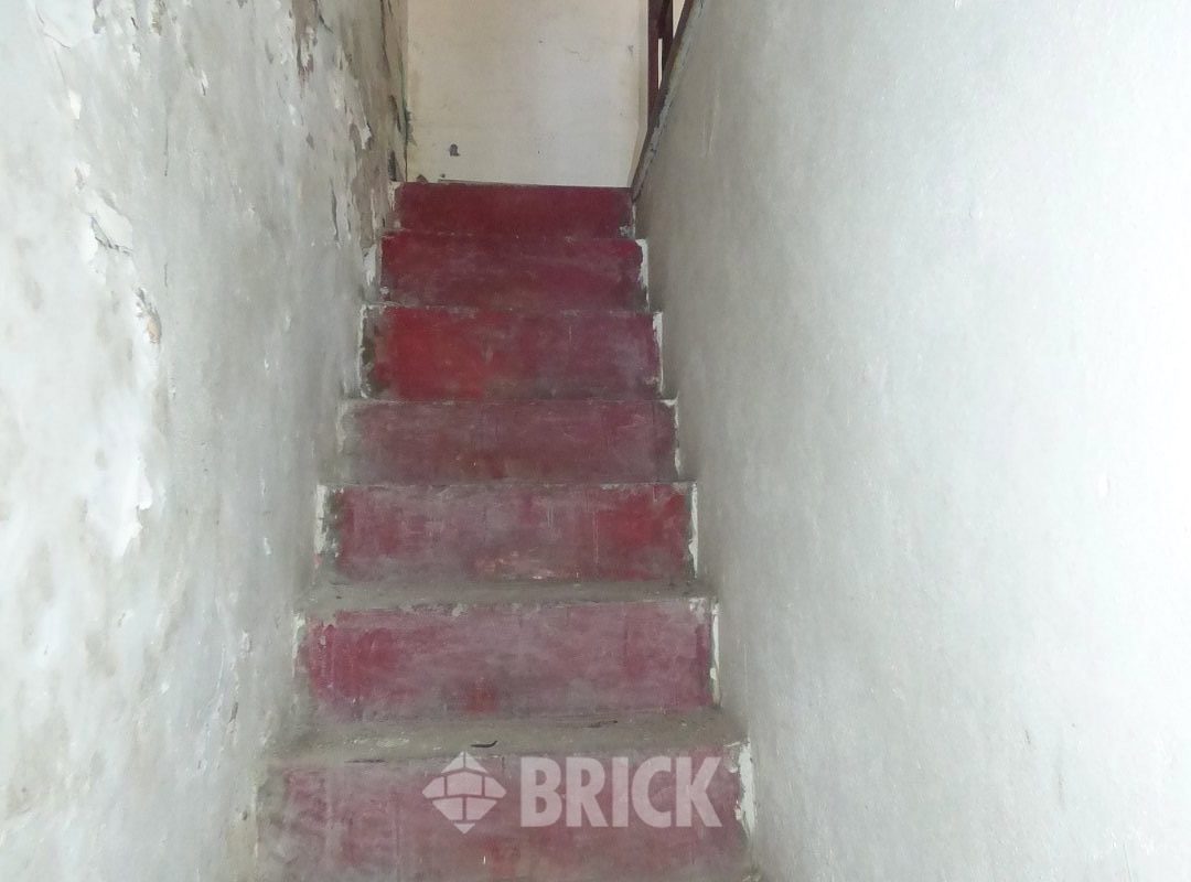 HUMBERTO 1° al 3000 41