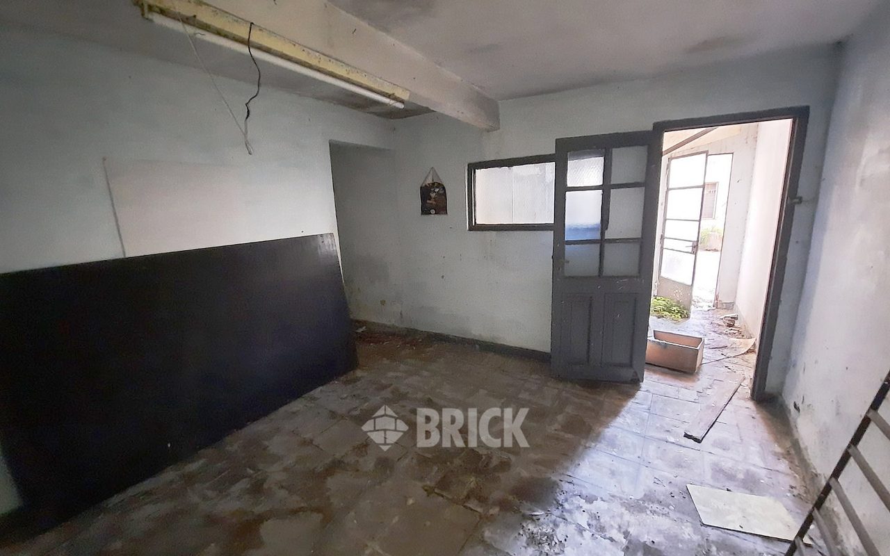 HUMBERTO 1° al 3000 47