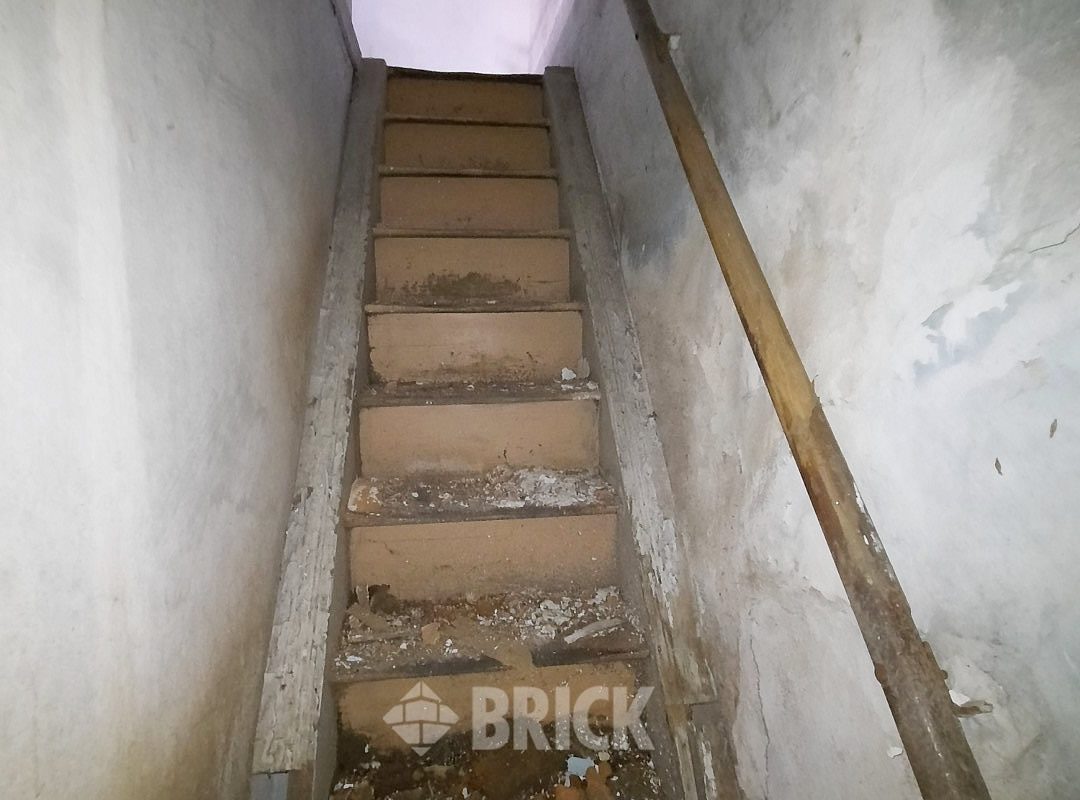 HUMBERTO 1° al 3000 49