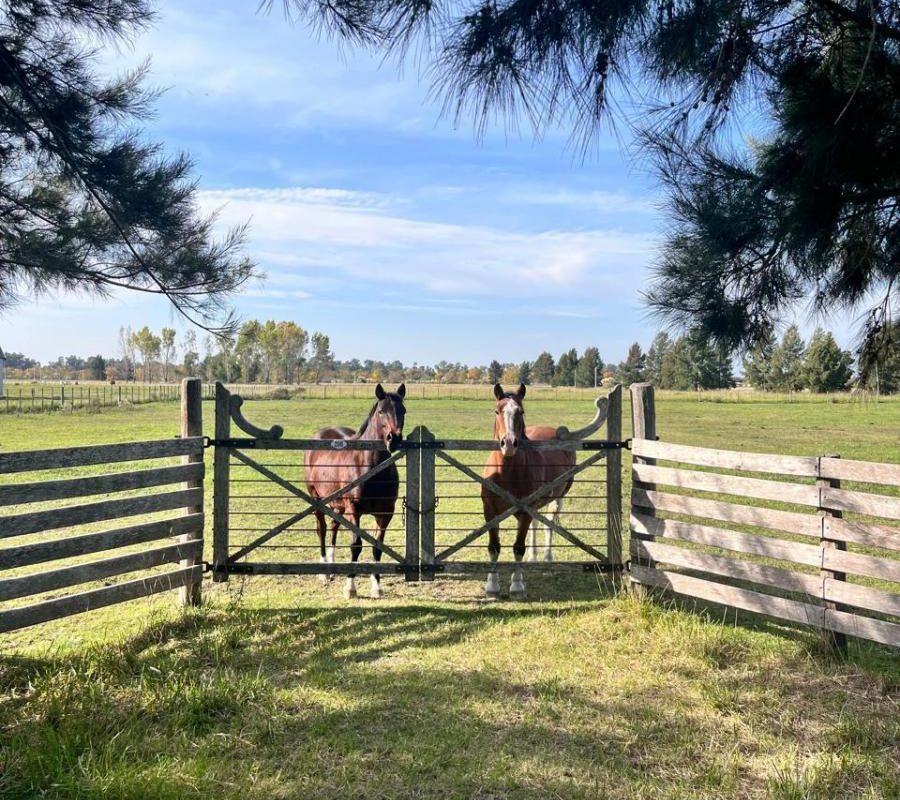 DEL VALLE, ARISTOBULO al 1300 Lote N° 9 17