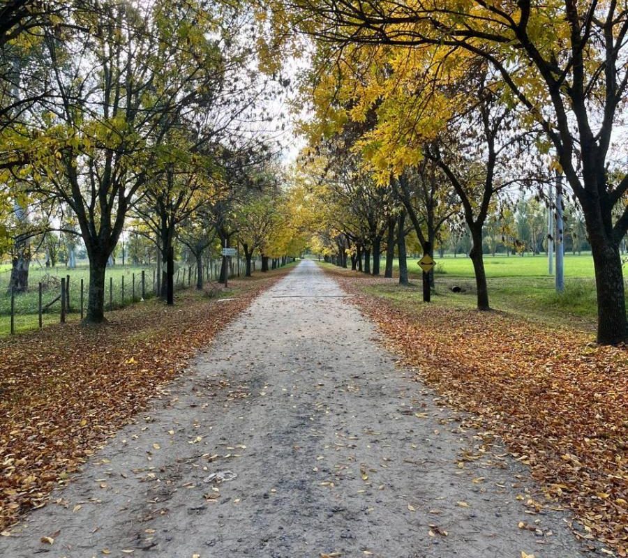 DEL VALLE, ARISTOBULO al 1300 Lote N° 9 18