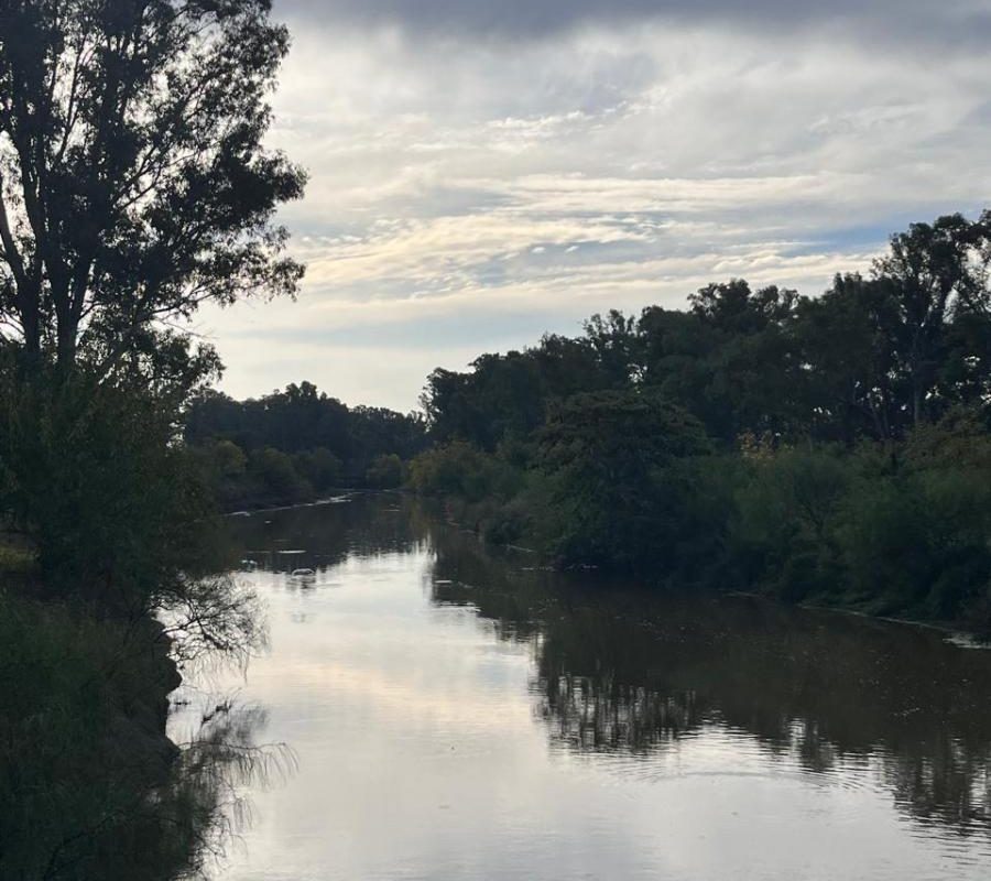 DEL VALLE, ARISTOBULO al 1300 Lote N° 9 21