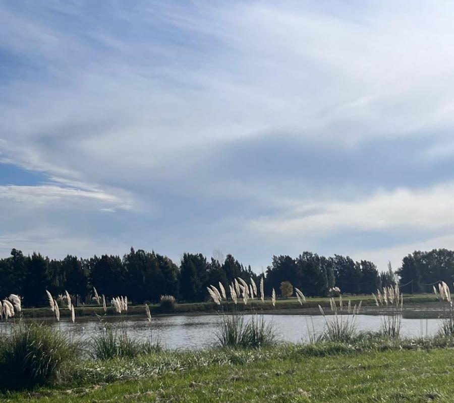 DEL VALLE, ARISTOBULO al 1300 Lote N° 9 20