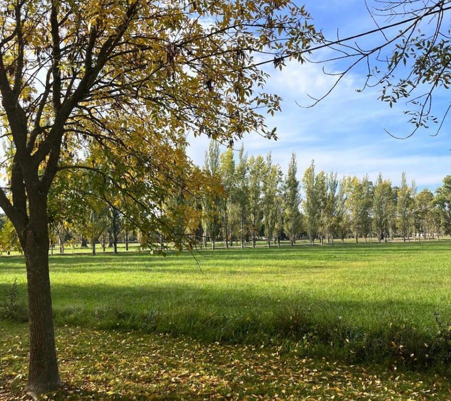 DEL VALLE, ARISTOBULO al 1300 Lote N° 9 22