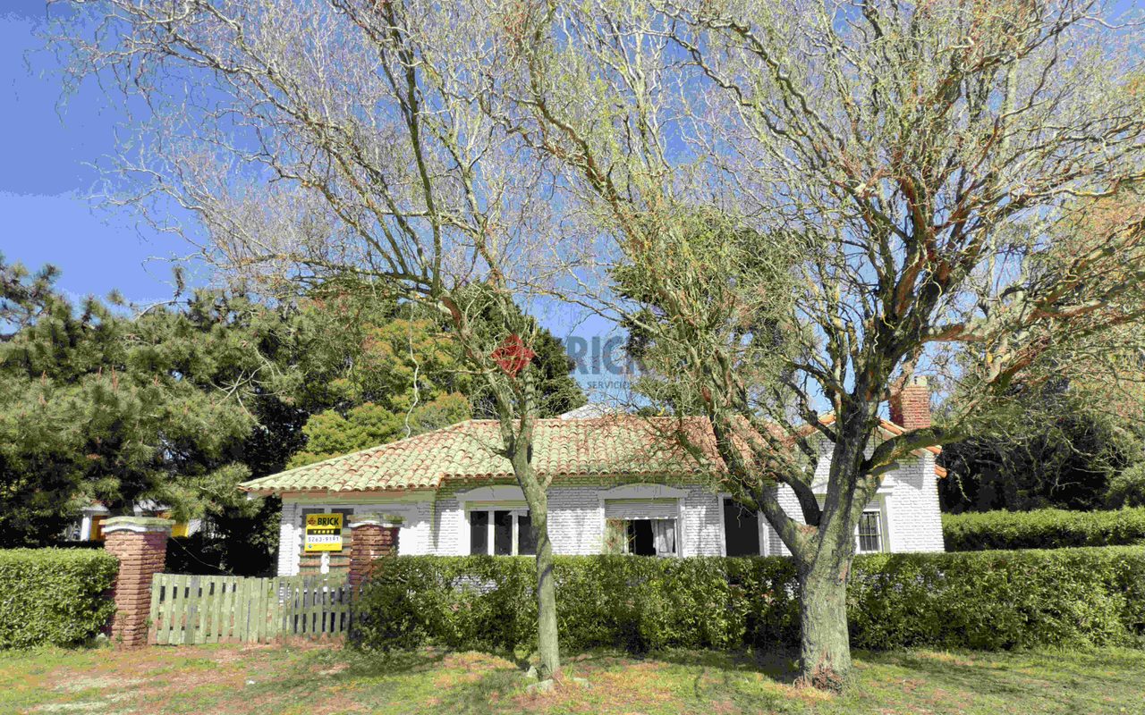 SOLEDAD Y CANNES 1