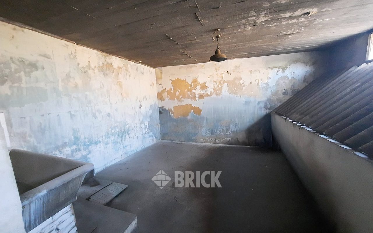 BOUCHARD, HIPOLITO al 3200 12