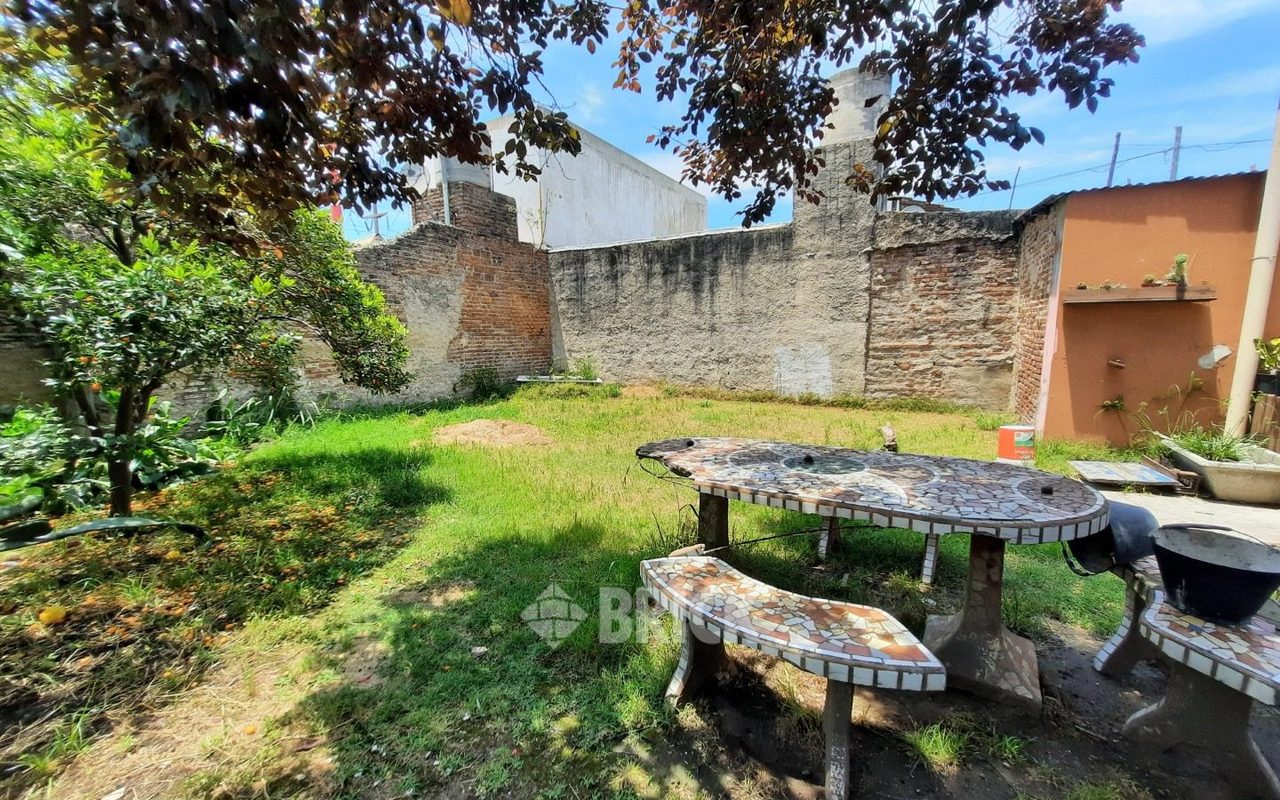 ALIPPI, ELIAS al 0 27