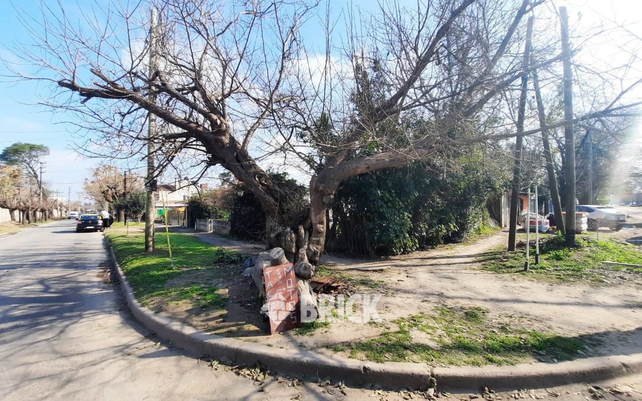 LOS STUDS al 1000 28