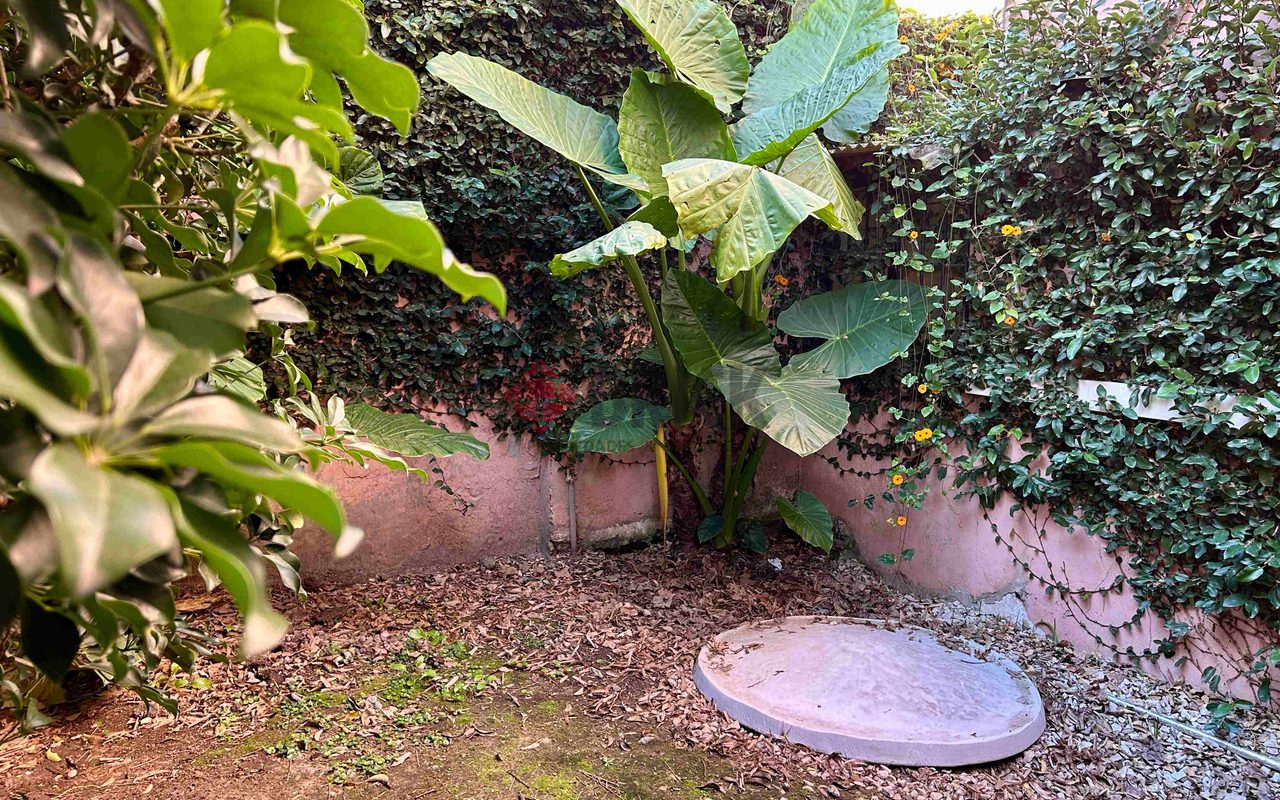 MARTIN CORONADO al 300 7