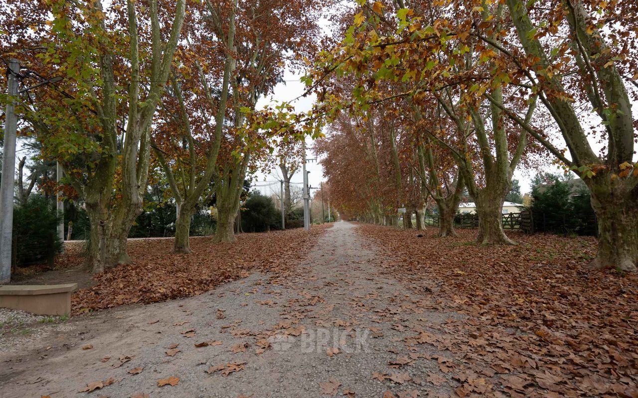 DEL VALLE, ARISTOBULO al 0 Lote 72 46
