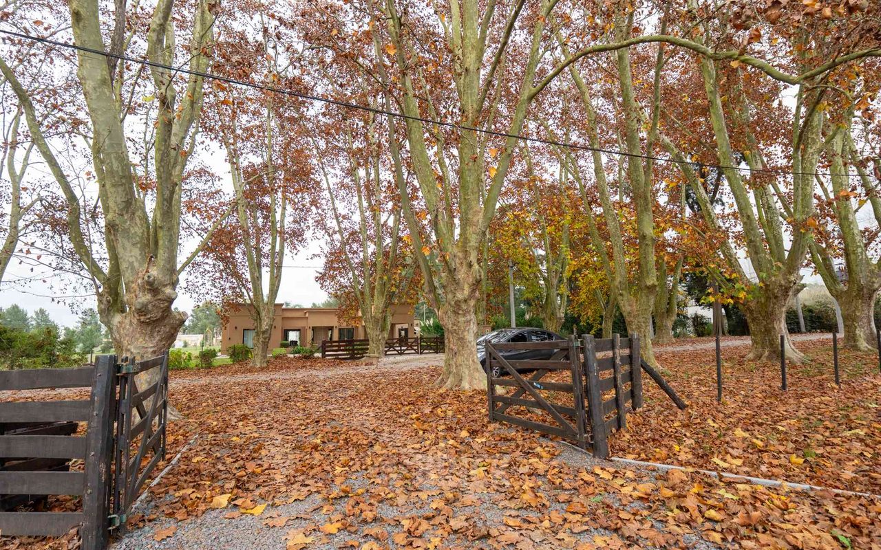DEL VALLE, ARISTOBULO al 0 Lote 72 4