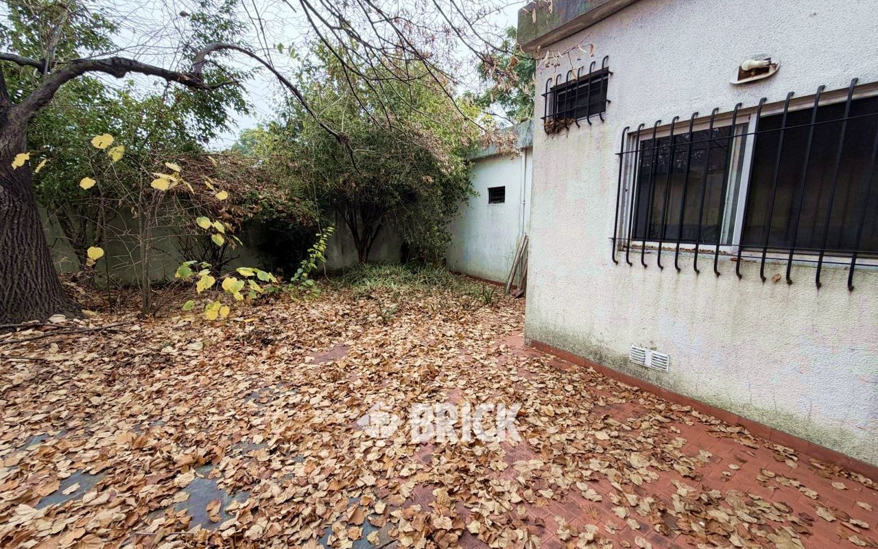 ALCORTA, AMANCIO al 100 30