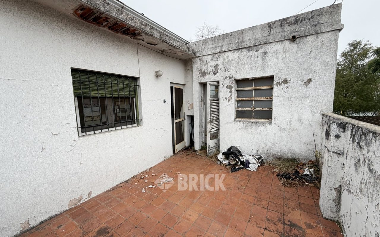 ALCORTA, AMANCIO al 100 37