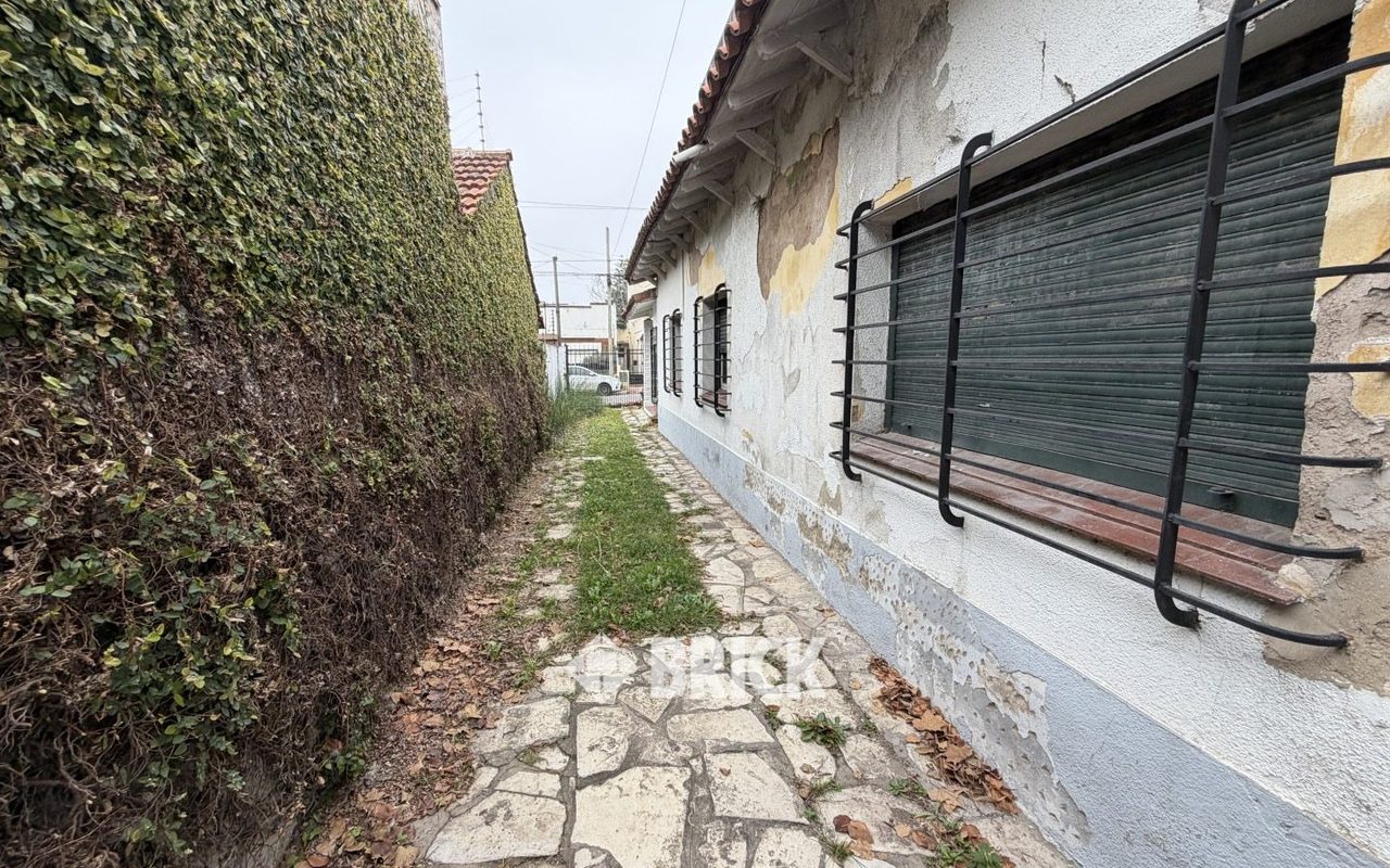 ALCORTA, AMANCIO al 100 43