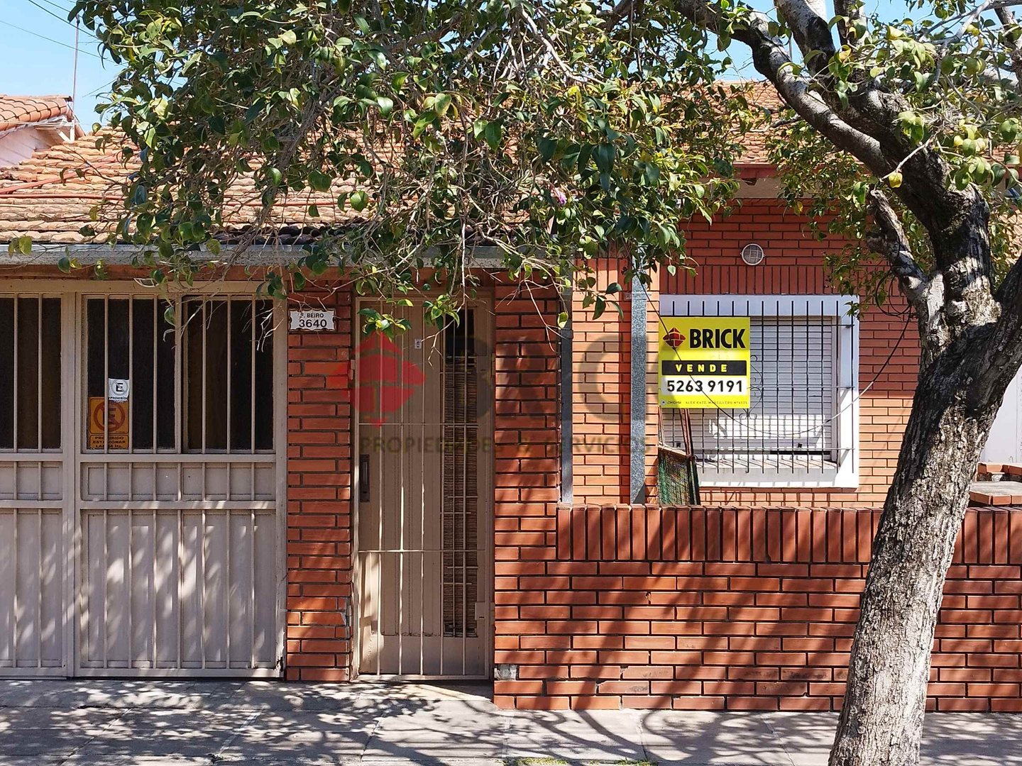 FRANCISCO BEIRO al 3600 1