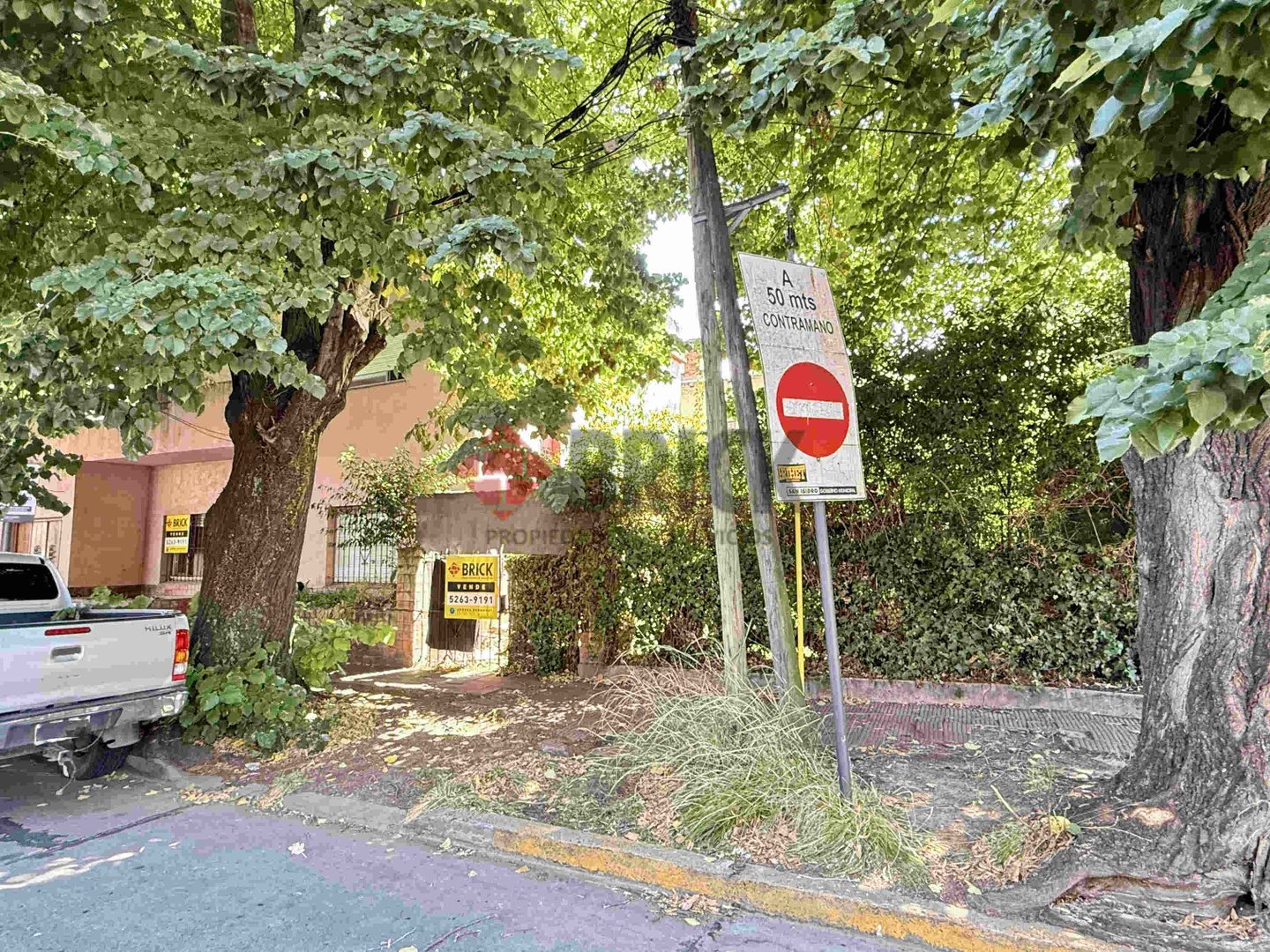 MARTIN CORONADO al 300 1