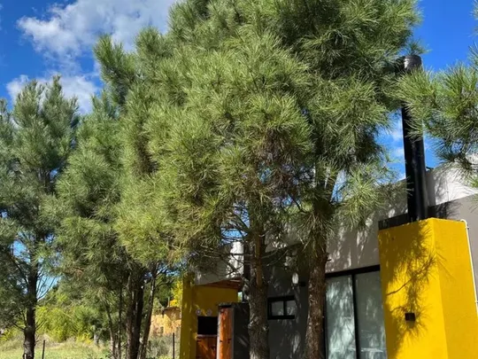 LAS GAVIOTAS (CALLE 30)