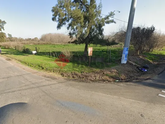LAGUNA DEL MONTE al 100
