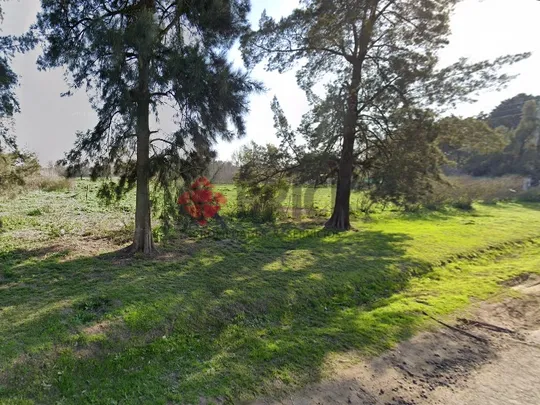 LAGUNA DEL MONTE al 100
