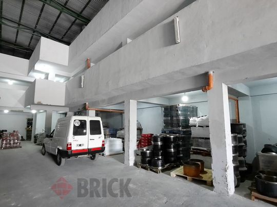 GORDILLO, TIMOTEO al 4200