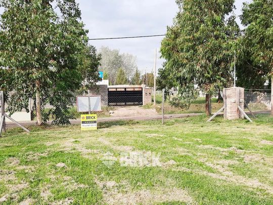 CHULUPIES (EX DIAGUITAS) Lote 6