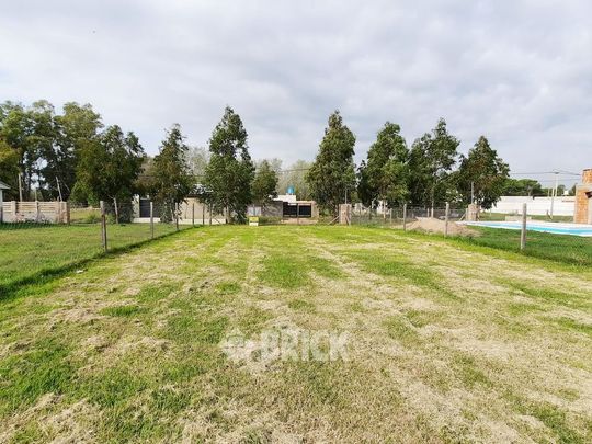 CHULUPIES (EX DIAGUITAS) Lote 6