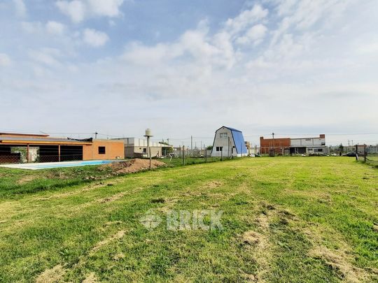 CHULUPIES (EX DIAGUITAS) Lote 6