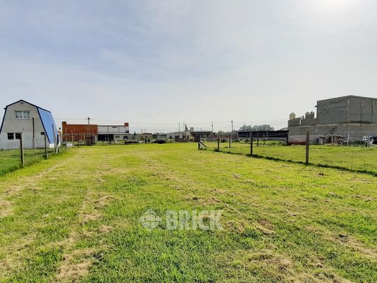 CHULUPIES (EX DIAGUITAS) Lote 6