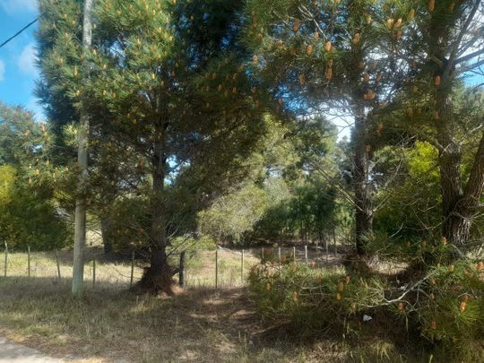 CALLE 27 (AV. ALMTE. BROWN) Lote 4 Y 5