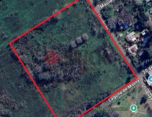 LAGUNA DEL MONTE al 100