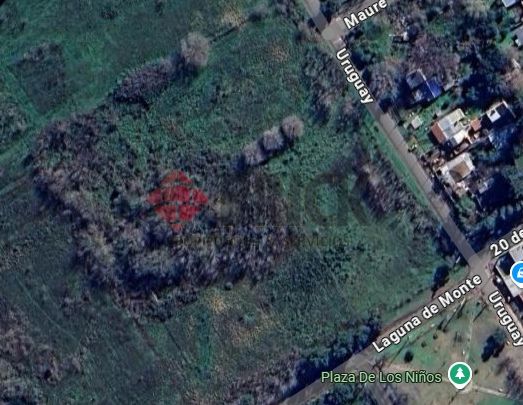 LAGUNA DEL MONTE al 100