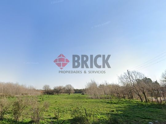 LAGUNA DEL MONTE al 100