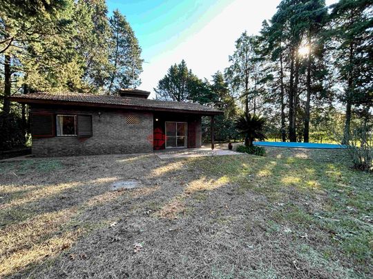 LA GOLONDRINA Y LA PATRIA