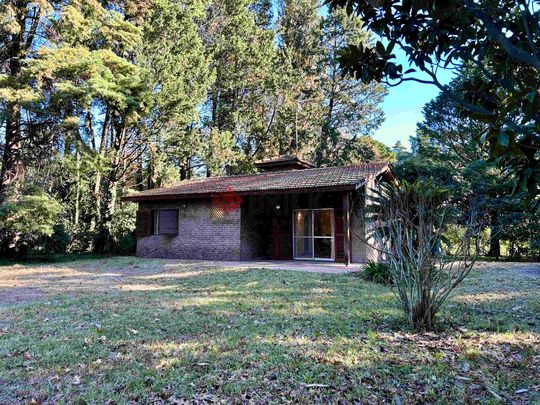 LA GOLONDRINA Y LA PATRIA