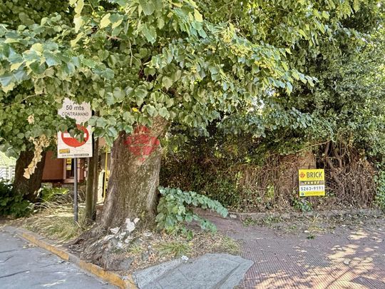 MARTIN CORONADO al 300