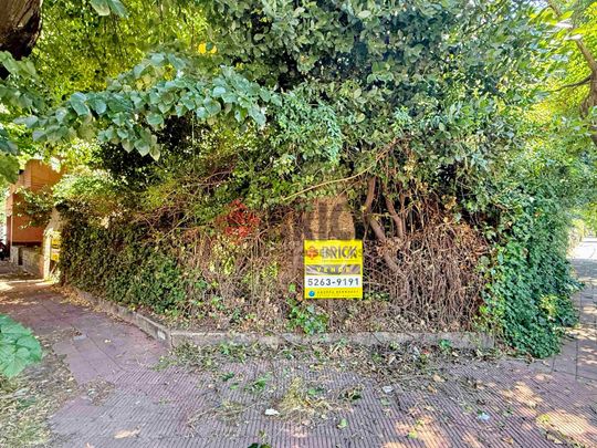 MARTIN CORONADO al 300