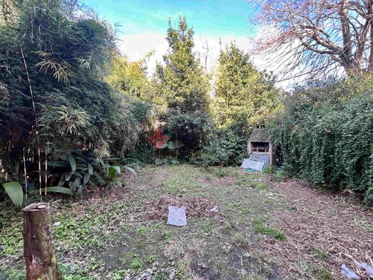 MARTIN CORONADO al 300