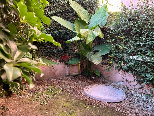 MARTIN CORONADO al 300