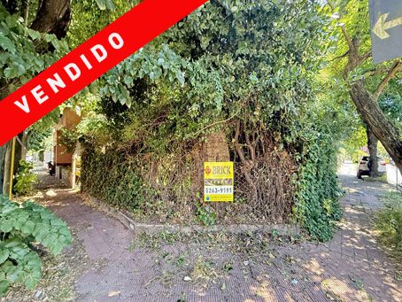 MARTIN CORONADO al 300