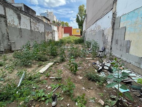 PAYSANDU al 1600