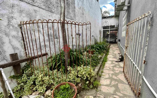 PERGAMINO al 500 16